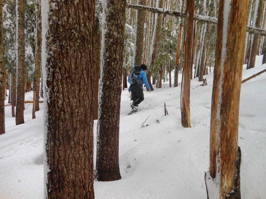 Photo from Buzzard Point / Wagon Route Loop Snowshoe