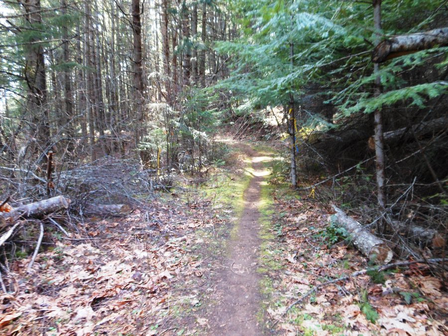 Photo from Catherine Creek Coyote Wall Loop