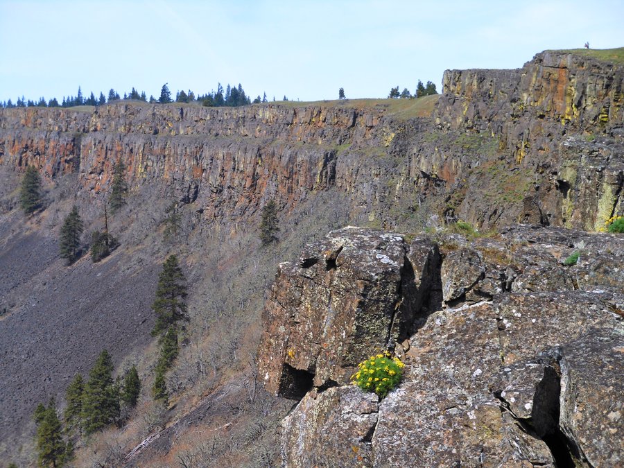Photo from Catherine Creek Coyote Wall Loop