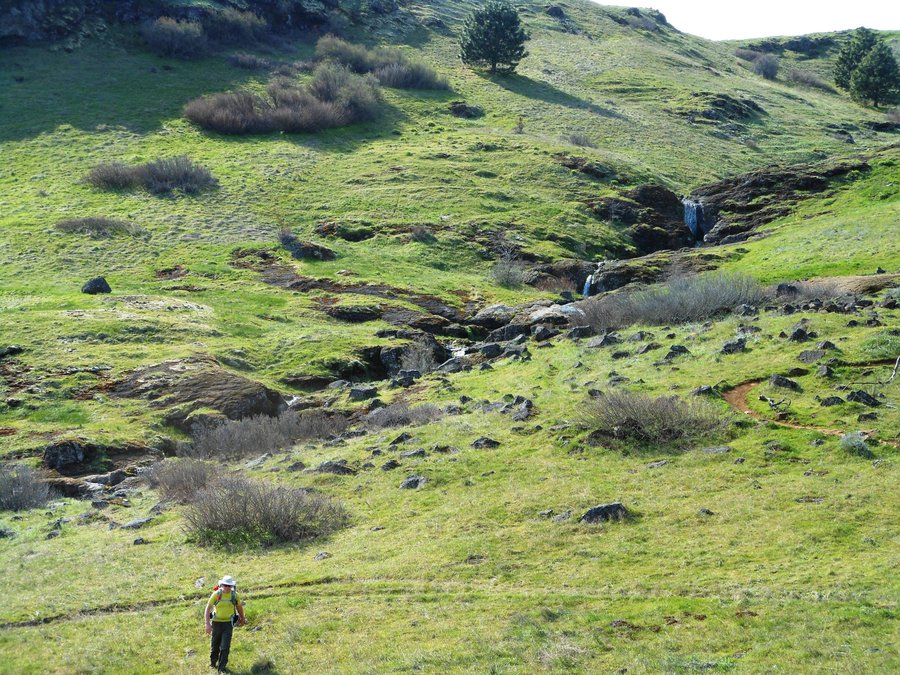 Photo from Catherine Creek Coyote Wall Loop