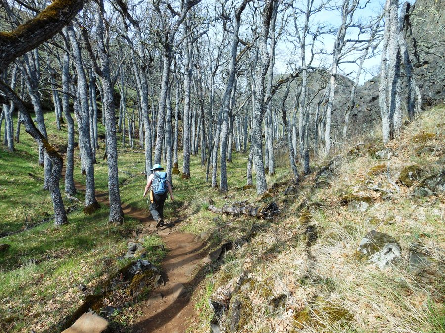 Photo from Catherine Creek Coyote Wall Loop