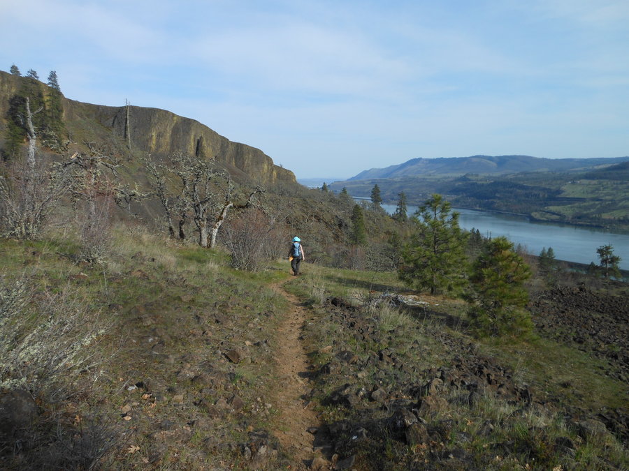 Photo from Catherine Creek Coyote Wall Loop