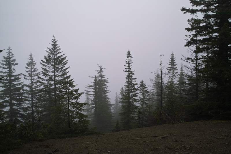 Stunning panoramic vistas of Hood and Zigzag.