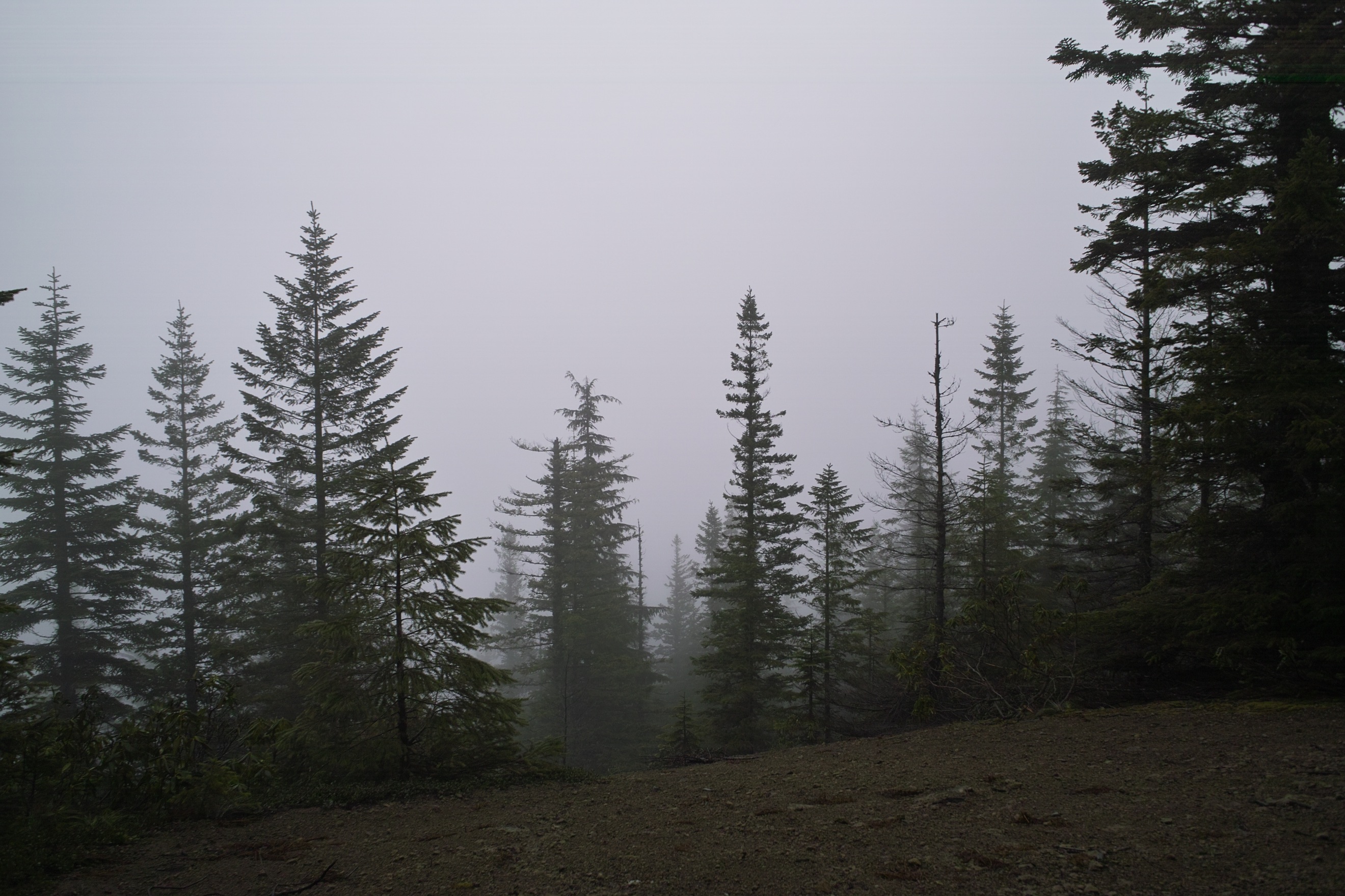 Stunning panoramic vistas of Hood and Zigzag.