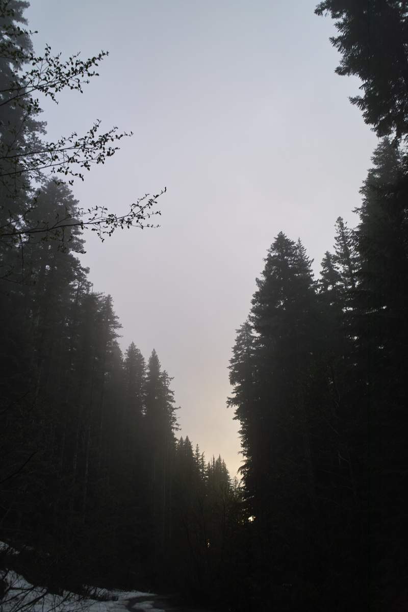 Okay, so the sun did actually start to peak its head out - once I was headed back to the car.