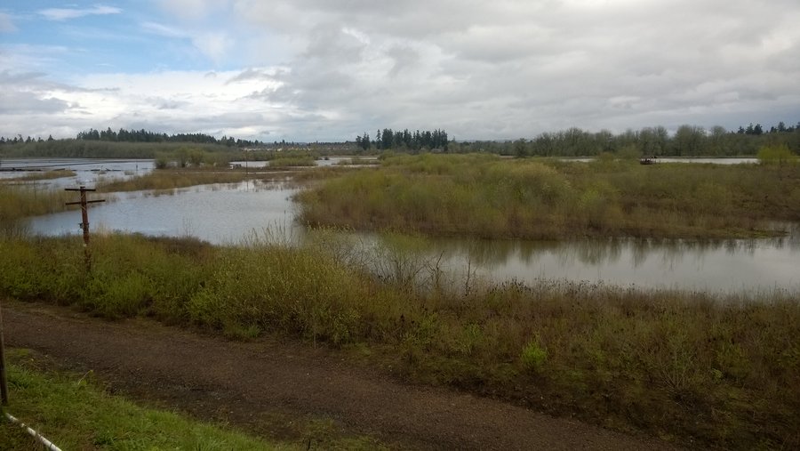 Photo from Jackson Bottom Wetlands