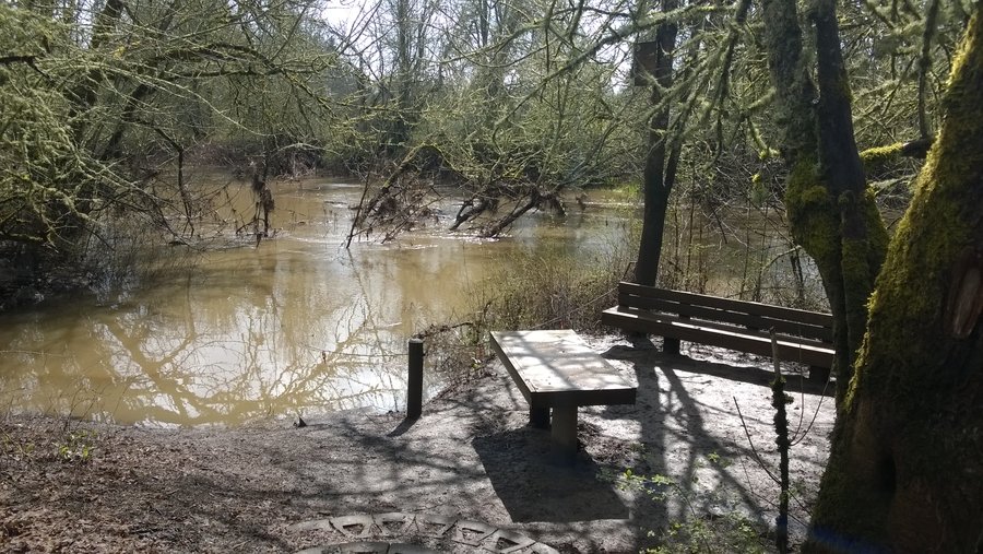 Photo from Jackson Bottom Wetlands