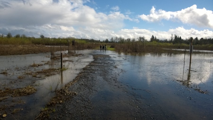 Photo from Jackson Bottom Wetlands