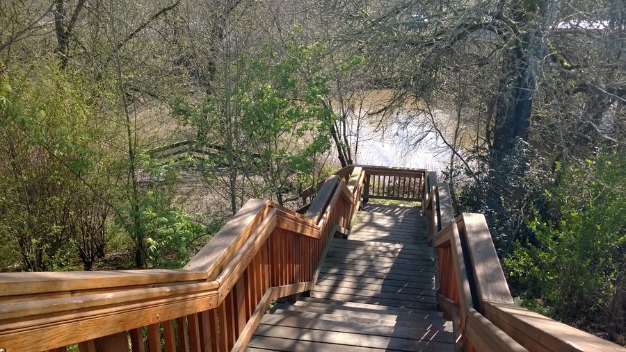 Photo from Jackson Bottom Wetlands