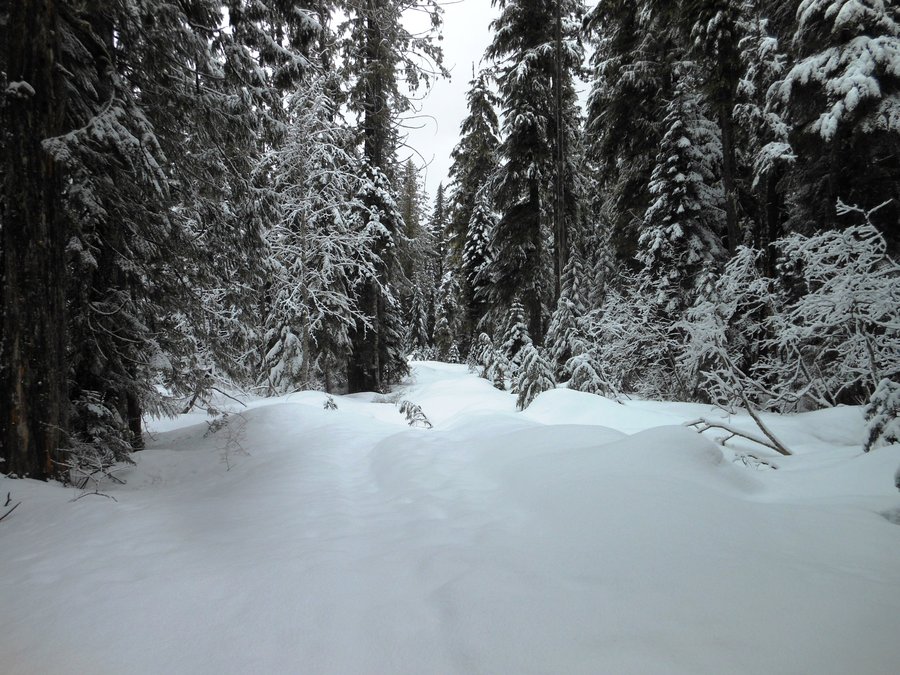 Photo from Enid Lake Loop