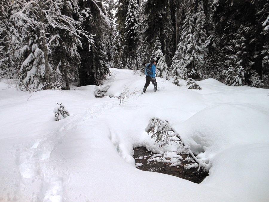 Photo from Enid Lake Loop