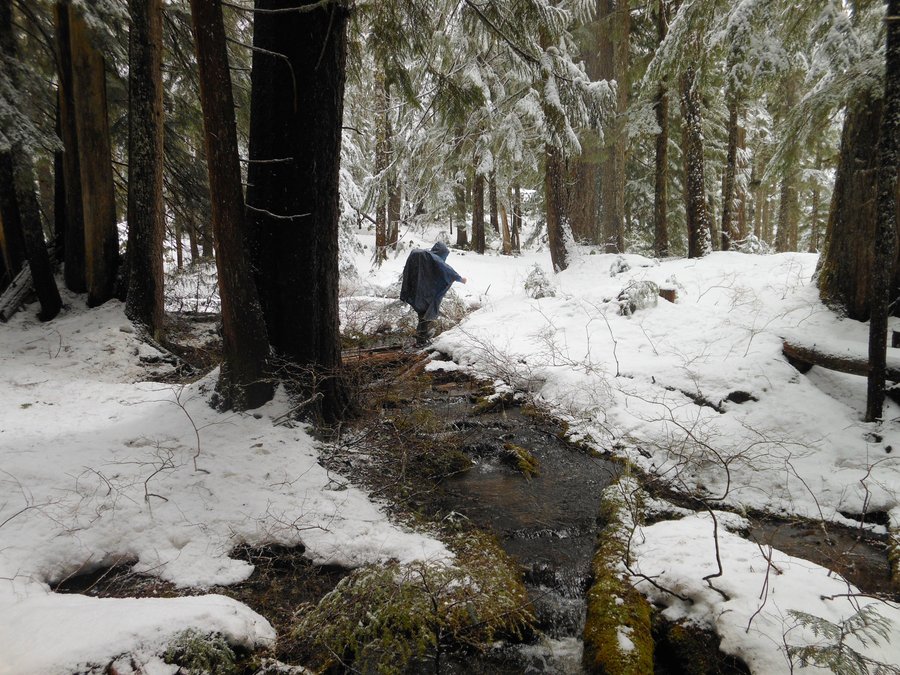 Photo from Enid Lake Loop