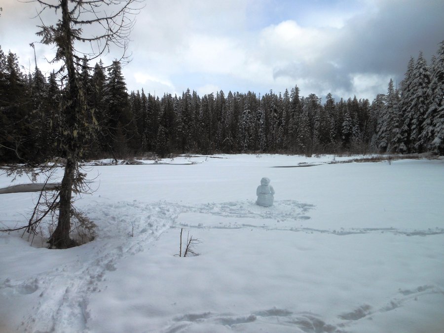 Photo from Enid Lake Loop