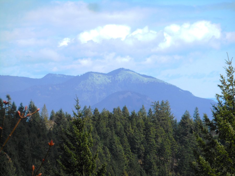 Photo from Greenleaf Falls Aldrich Butte