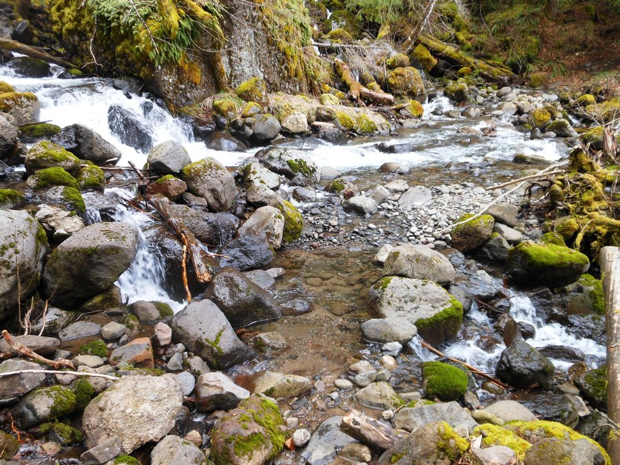 Photo from Greenleaf Falls Aldrich Butte