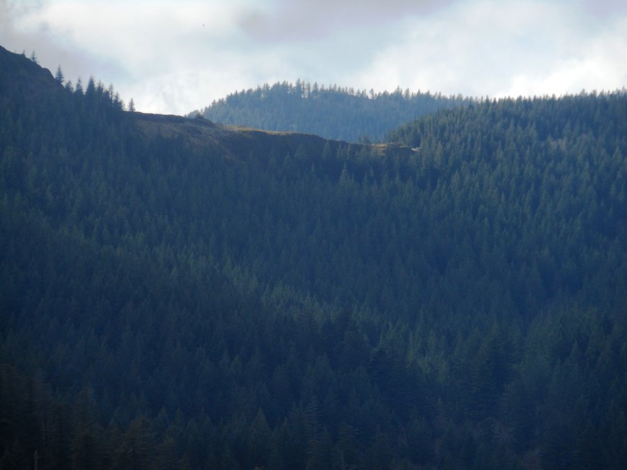 Photo from Greenleaf Falls Aldrich Butte