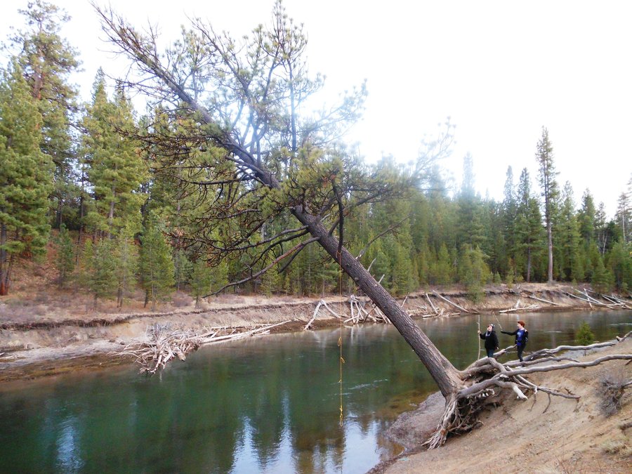 Photo from La Pine State Park Exploration