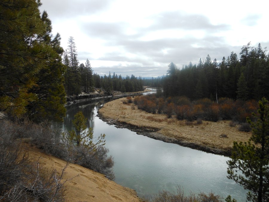 Photo from La Pine State Park Exploration