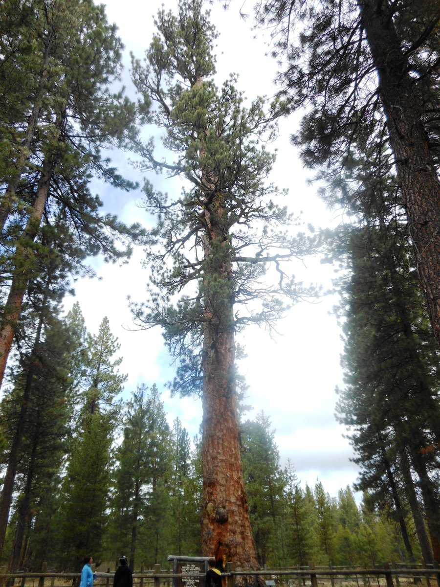 Photo from La Pine State Park Exploration
