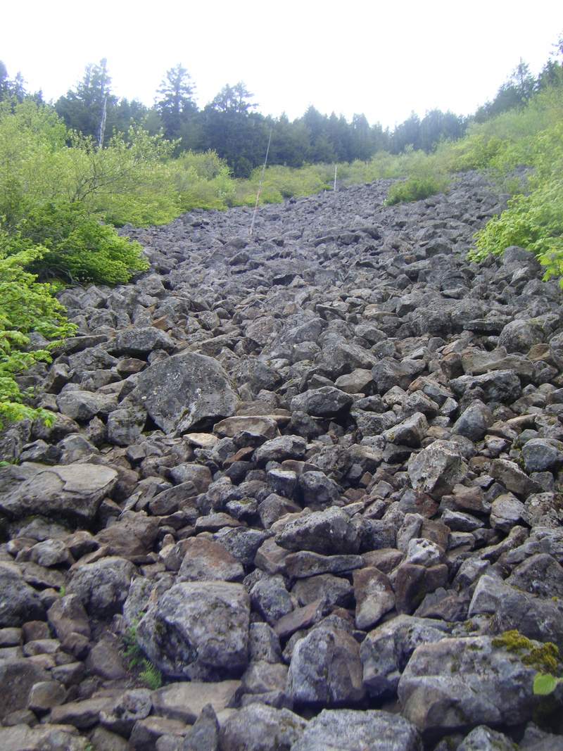 view from the bottom looking to the top of the talus slope