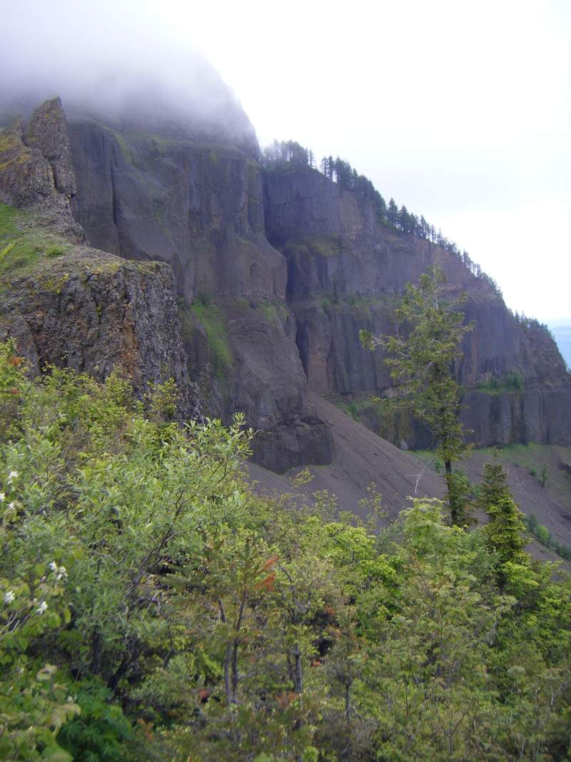 table mtn