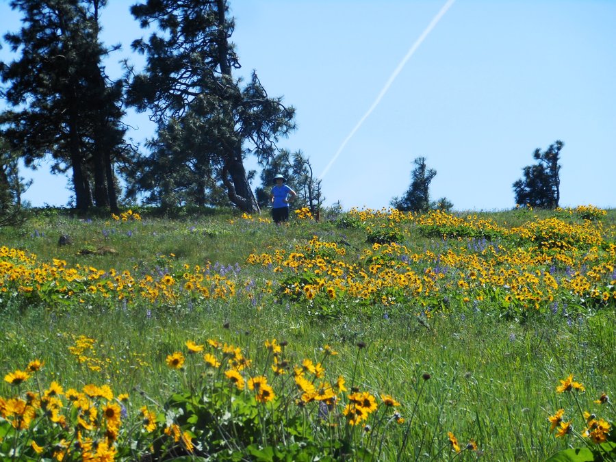 Photo from Mosier Plateau