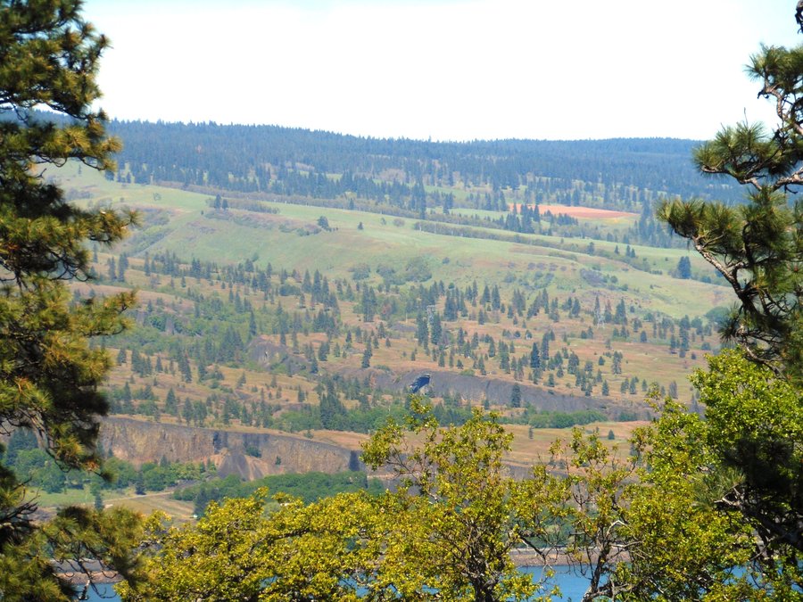 Photo from Mosier Plateau