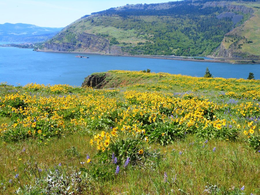 Photo from Mosier Plateau