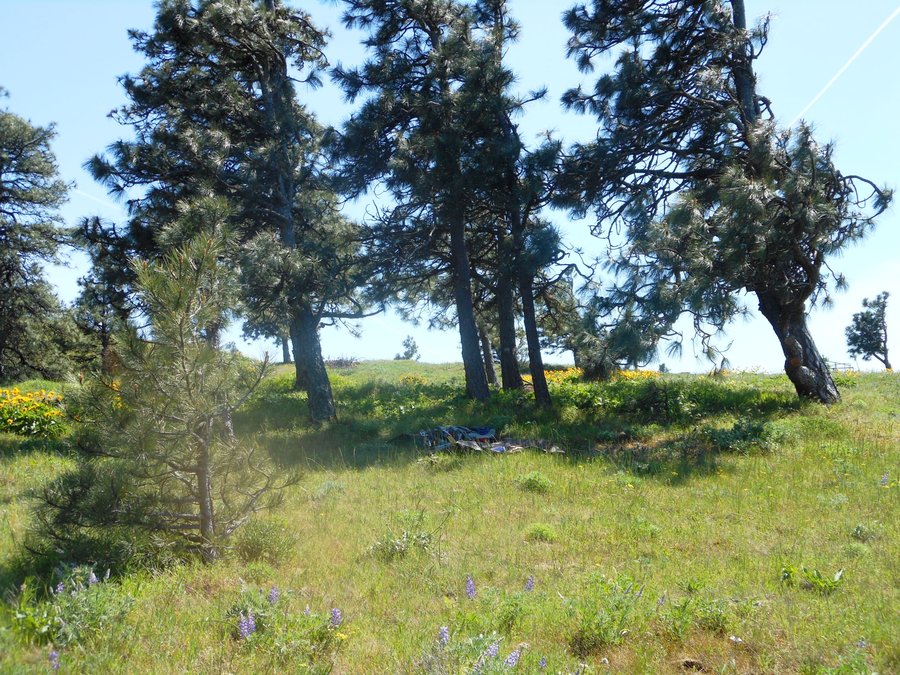 Photo from Mosier Plateau