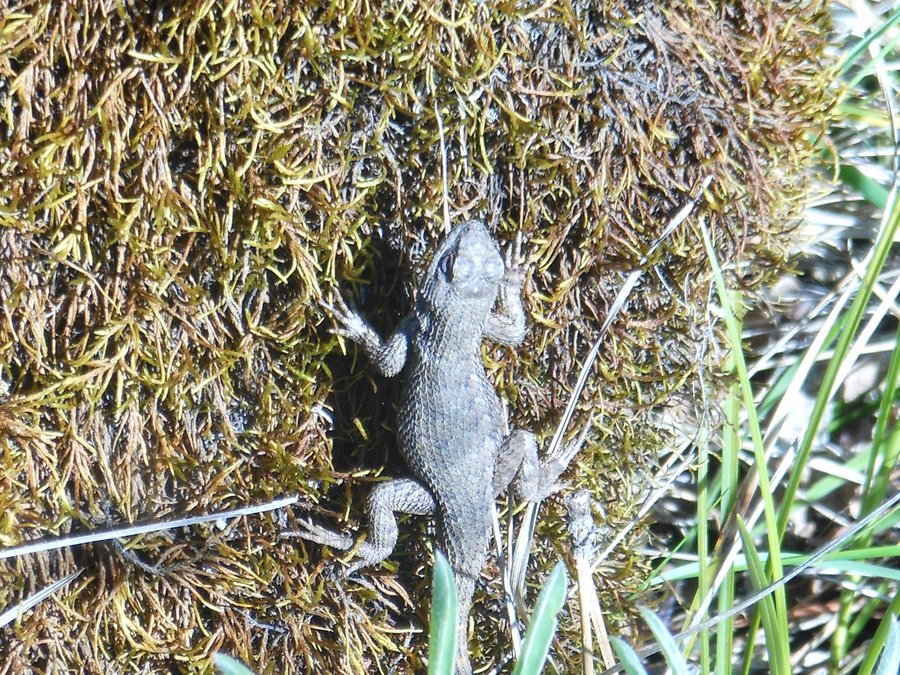 Photo from McCall Point