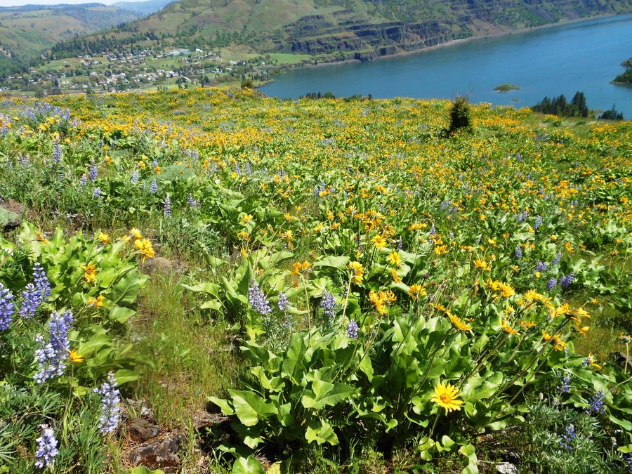 Photo from McCall Point