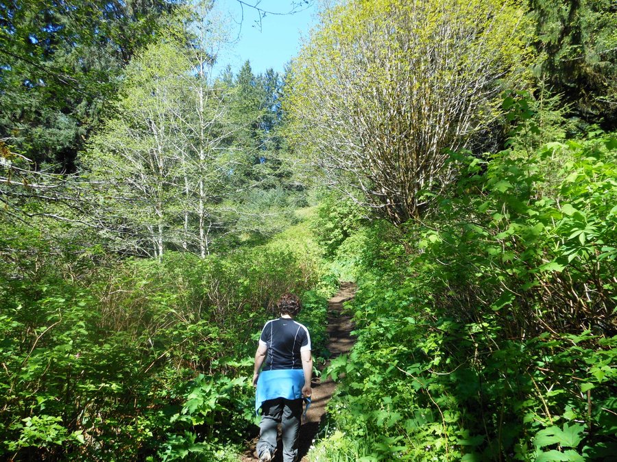 Photo from Neahkahnie Mtn