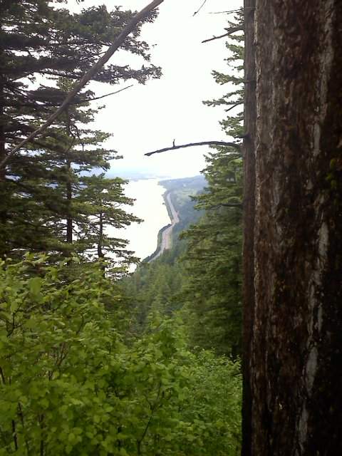 View off of Vista Point
