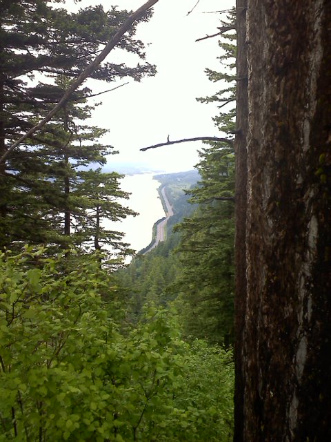 View off of Vista Point