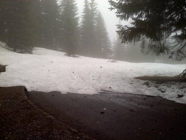 Larch MT. Parking Lot Snow
