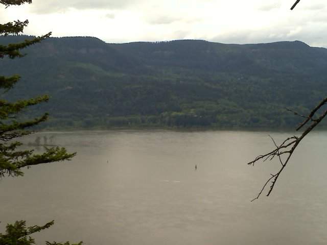 View from a closed trail