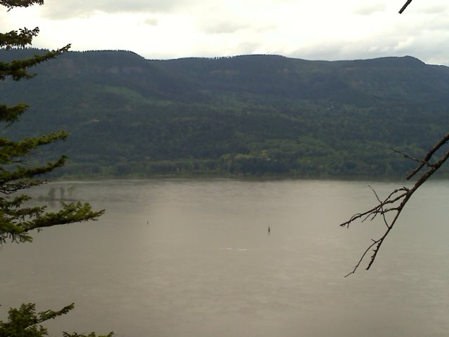 View from a closed trail