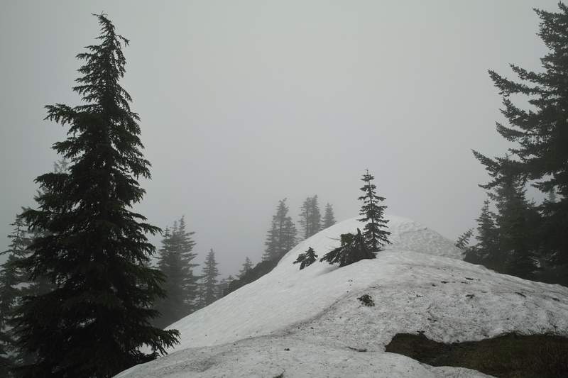 Observation Peak, fogged in.