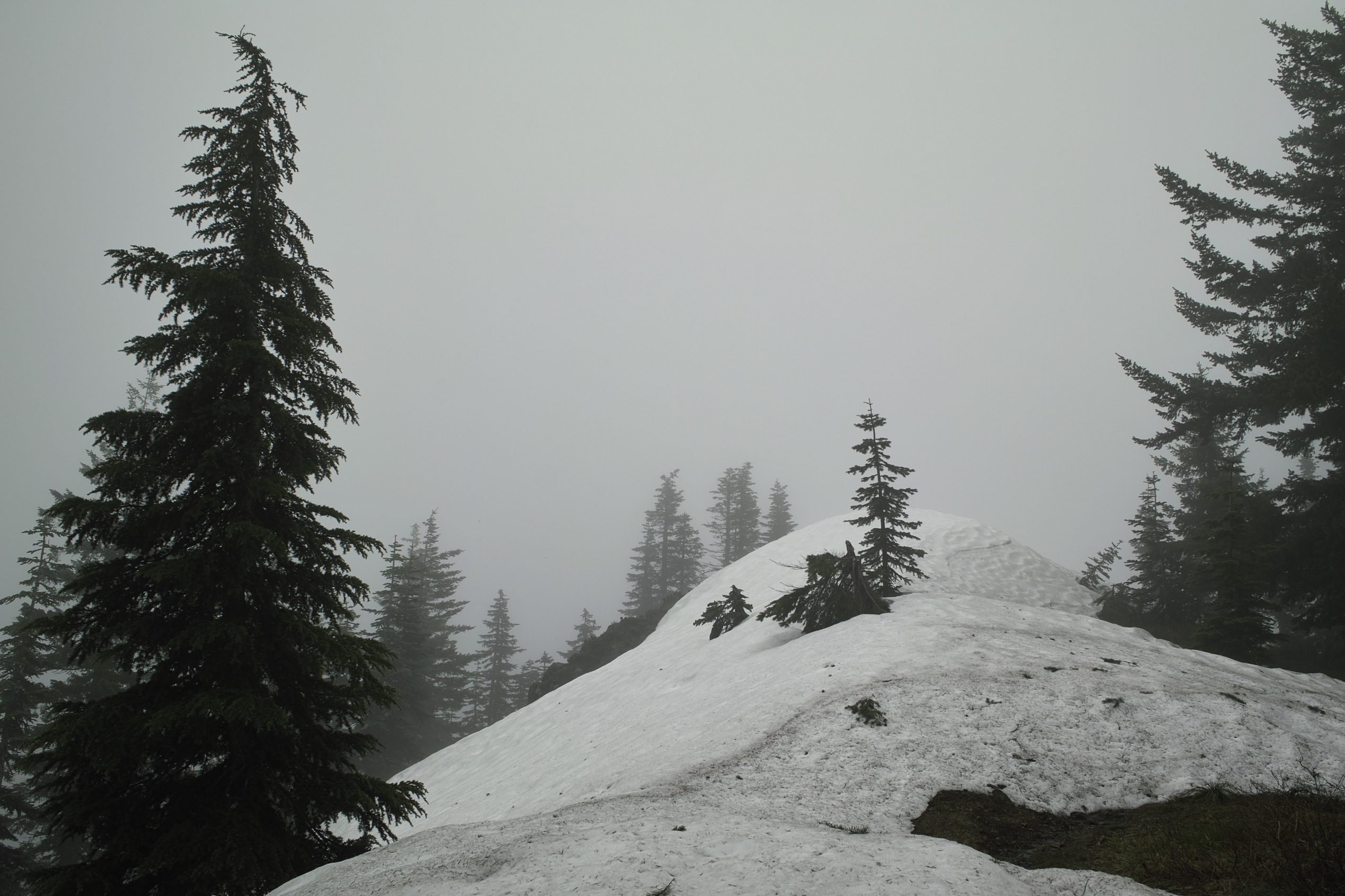 Observation Peak, fogged in.