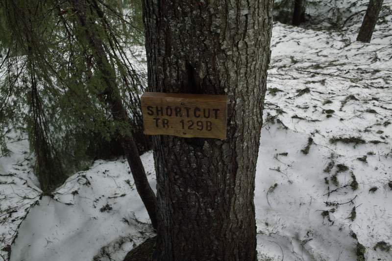 My kind of trail.