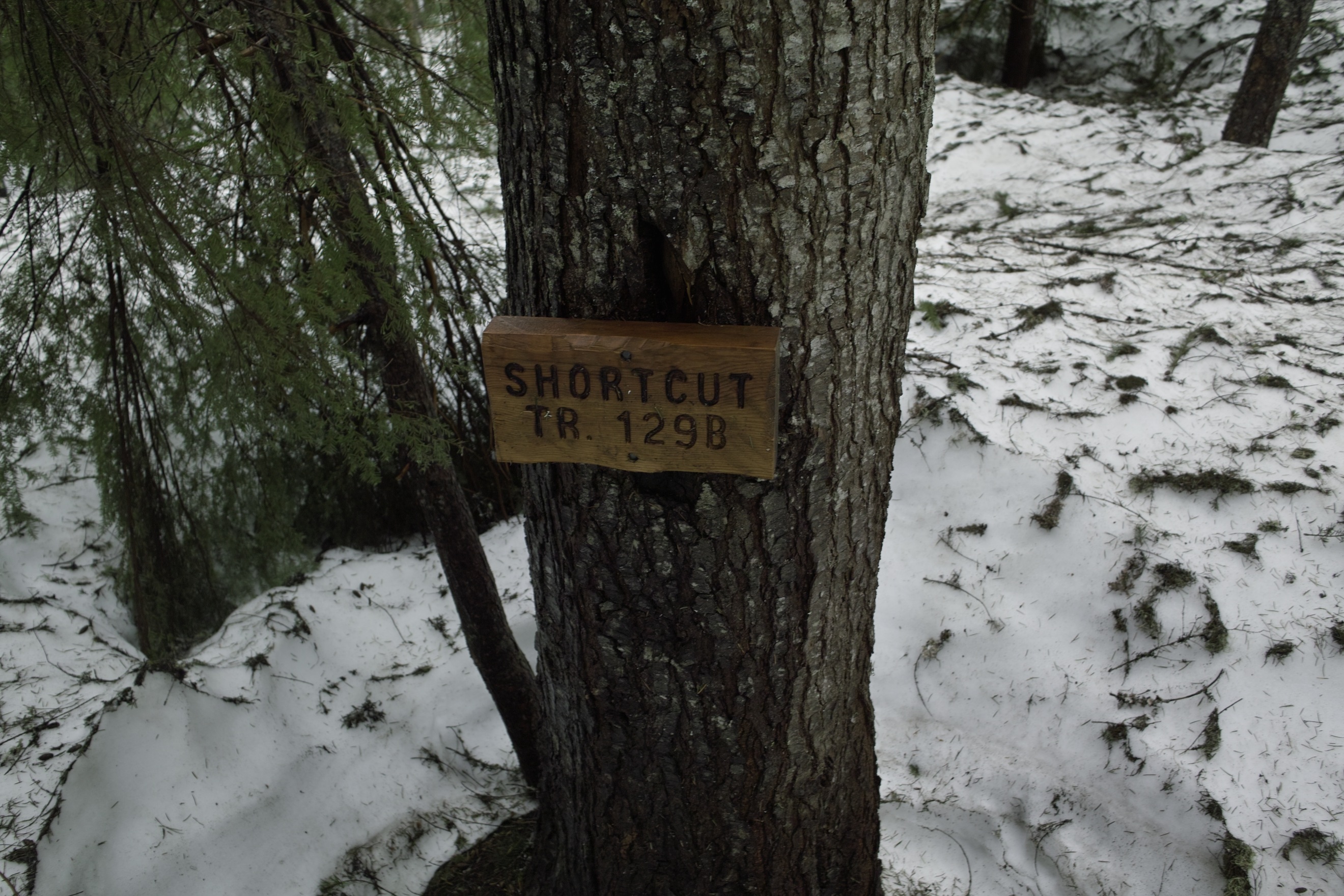 My kind of trail.