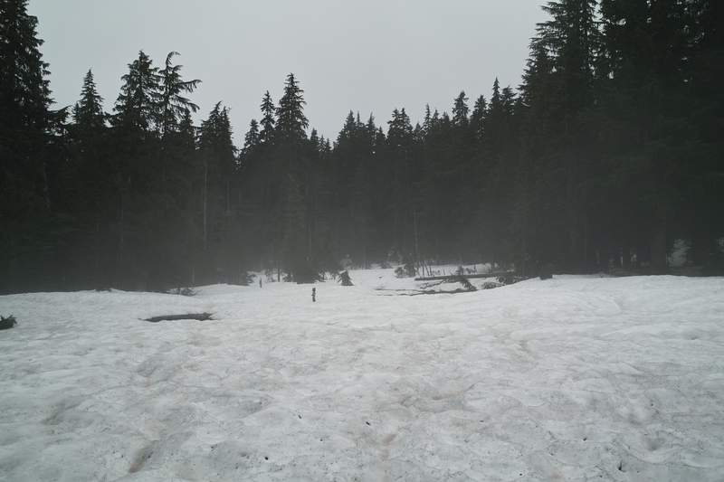 I think this is sometimes a creek, now covered in snow. There were several great snow bridges.