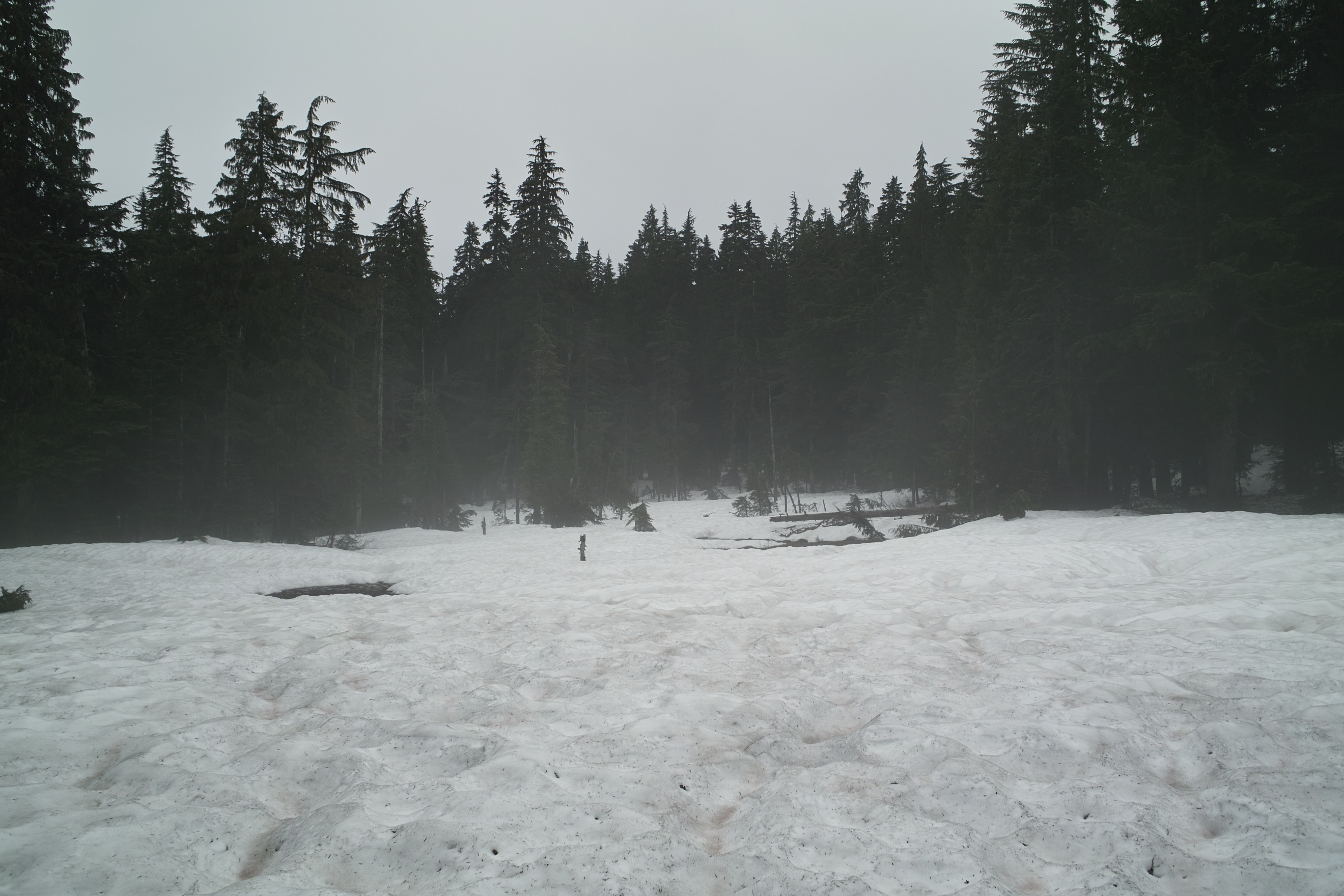 I think this is sometimes a creek, now covered in snow. There were several great snow bridges.