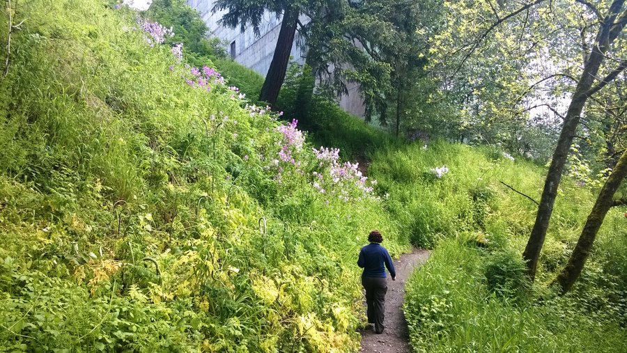 Photo from Oaks Bottom Loop