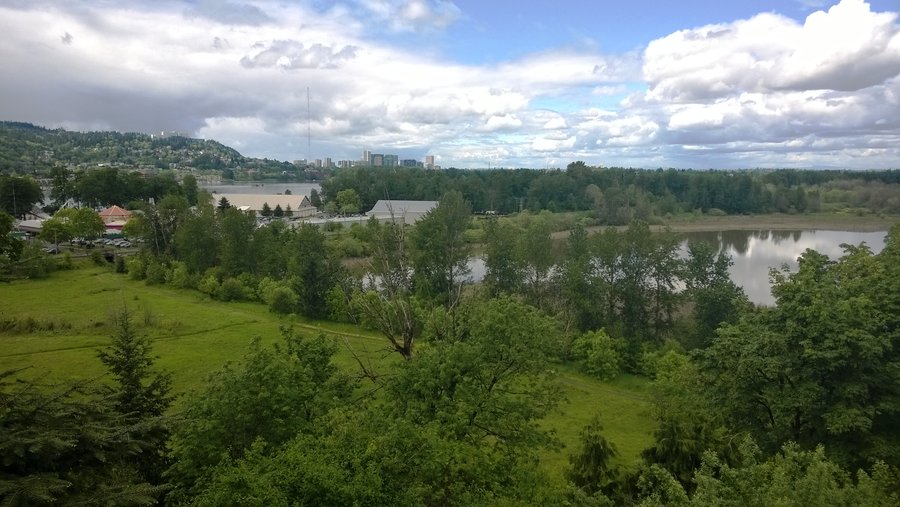 Photo from Oaks Bottom Loop