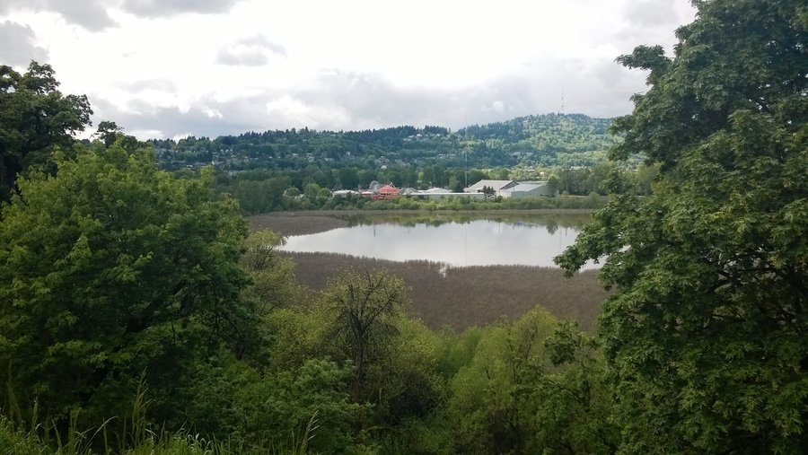 Photo from Oaks Bottom Loop