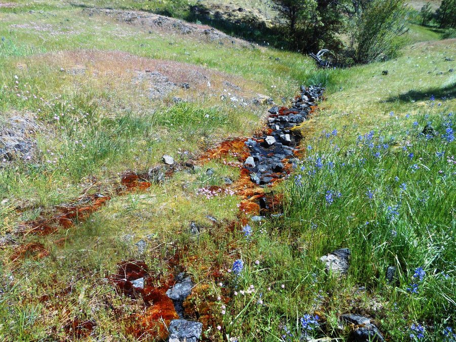 Photo from Catherine Creek East Loop