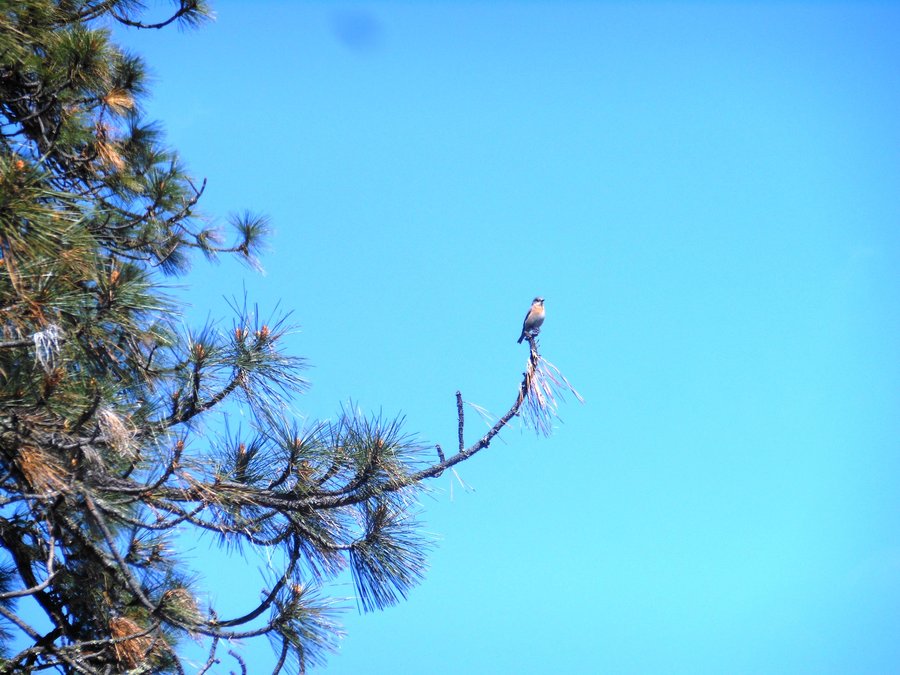 Photo from Catherine Creek East Loop