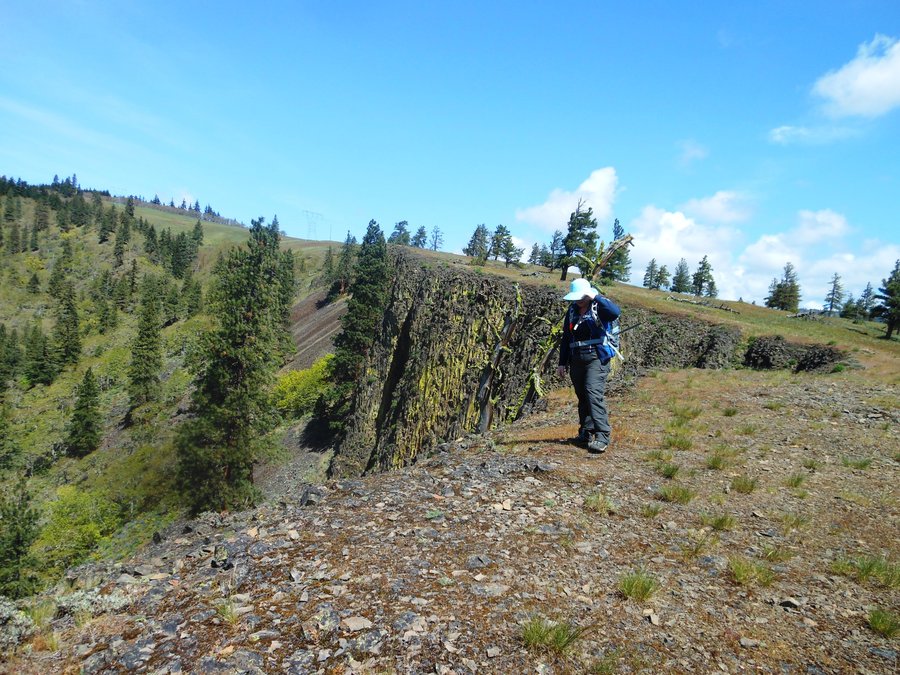 Photo from Catherine Creek East Loop