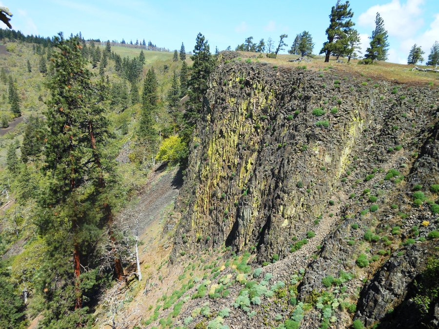 Photo from Catherine Creek East Loop